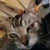 kate - @kate._.warren - TikTok