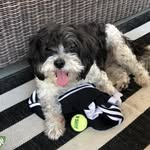 Kate Wilke - @wilkezoo - Instagram