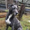 Kate Winter - @kate.winter71 - TikTok
