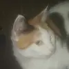 katie winter - @katiewinter84585 - TikTok
