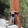 Mary Kate Worrell - @marykateaub - TikTok