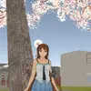 Rasberry /high school 2018 - @katewu003 - TikTok