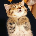 Екатерина Мартинёнок - @_kateyen_ - Instagram