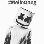 Andi kate yoder - @mellogang1516 - Instagram
