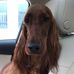 Kate Yoder - Facebook