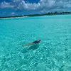 KateZack - @katezack58 - TikTok