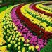 Katelin Densing - Facebook