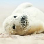 Katelyn Abel - @lost_in_a_spiral - Instagram