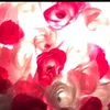 katelyn.appleby - @katelyn.appleby - TikTok