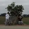 katelynbarth - @katelynbarth0 - TikTok