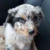 Katelyn Bateman27 - @katelynbateman27 - TikTok