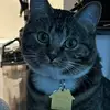Katlyn Beal - @katlyn.beal2 - TikTok
