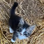Katelyn Berger - @katberg18 - Instagram