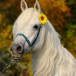 katelyn bledsoe - @bledsoe.katelynkay - Instagram