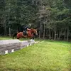 Kaitlyn Boudreau - @kaitlynboudreau1 - TikTok