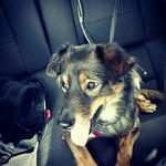 Katelyn Boudreau - @artemis_rayne077 - Instagram