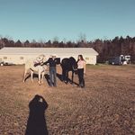 katelyn marie - @katelyn_austin_bowling - Instagram