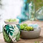 Scentsy_KatelynBowling - @scentsy_katelynbowling - Instagram
