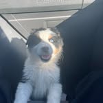 Katelyn bragg - @katelynbragg1733 - Instagram
