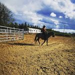 Katelyn Browne - Kehoe - @katelyn_kehoe_ - Instagram