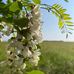 Katalin Brauner - Facebook