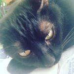 Katelyn Burrows - @spam_lel - Instagram