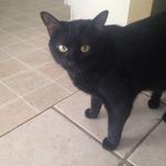 Katelyn Burrows - @burrows.katelyn - Instagram
