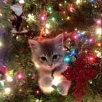 Katelyn Ann Cabrera - Facebook