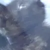 katelyn.calder - @katelyn.calder6 - TikTok
