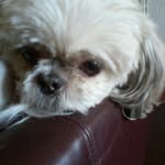 katelyn - @katelyn_castillo - Instagram