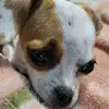 Katelyn castillo - @nohemi1485 - TikTok