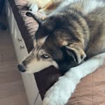 Katelyn Chen - @katelyn43330 - Instagram