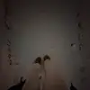 katelyn.chen22 - @katelyn.chen22 - TikTok
