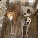 Katelyn Mincer Christopherson - @katelynchristopherson - Instagram