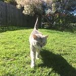 Katelyn Crowley - @kt.crowley13 - Instagram