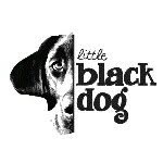 Katelyn Curry - @littleblackdogdesign - Instagram