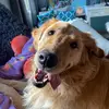 kate - @kated504 - TikTok