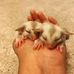Katelynn Dawson - Facebook