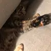 katelynnn - @katelyn_denham - TikTok