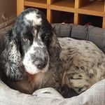 Katelyn Draper - @katyloudraper20 - Instagram