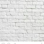 @katelyn__ebert - Instagram