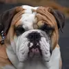 katelyn.estes - @katelyn.estes - TikTok