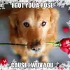 katelynneverett07 - @katelynneverett07 - TikTok