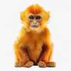 Fairchild Katelyn - @fairchild.katelyn - TikTok