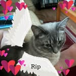 Katelyn Farley - @katelyn_farley.330 - Instagram