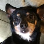 Katelyn Marie Farley - @snugglebyrd - Instagram