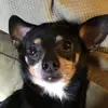 katelyn.farley2013 - @katelyn.farley201 - TikTok