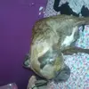 katelynfarrell  - @joeykatelyn7 - TikTok
