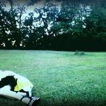 Katelyne Farris - @katelyne_vipercyrus_farris - Instagram