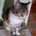 Katalin Feher - Facebook